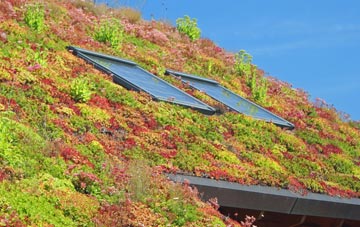 Helbeck living roof systems